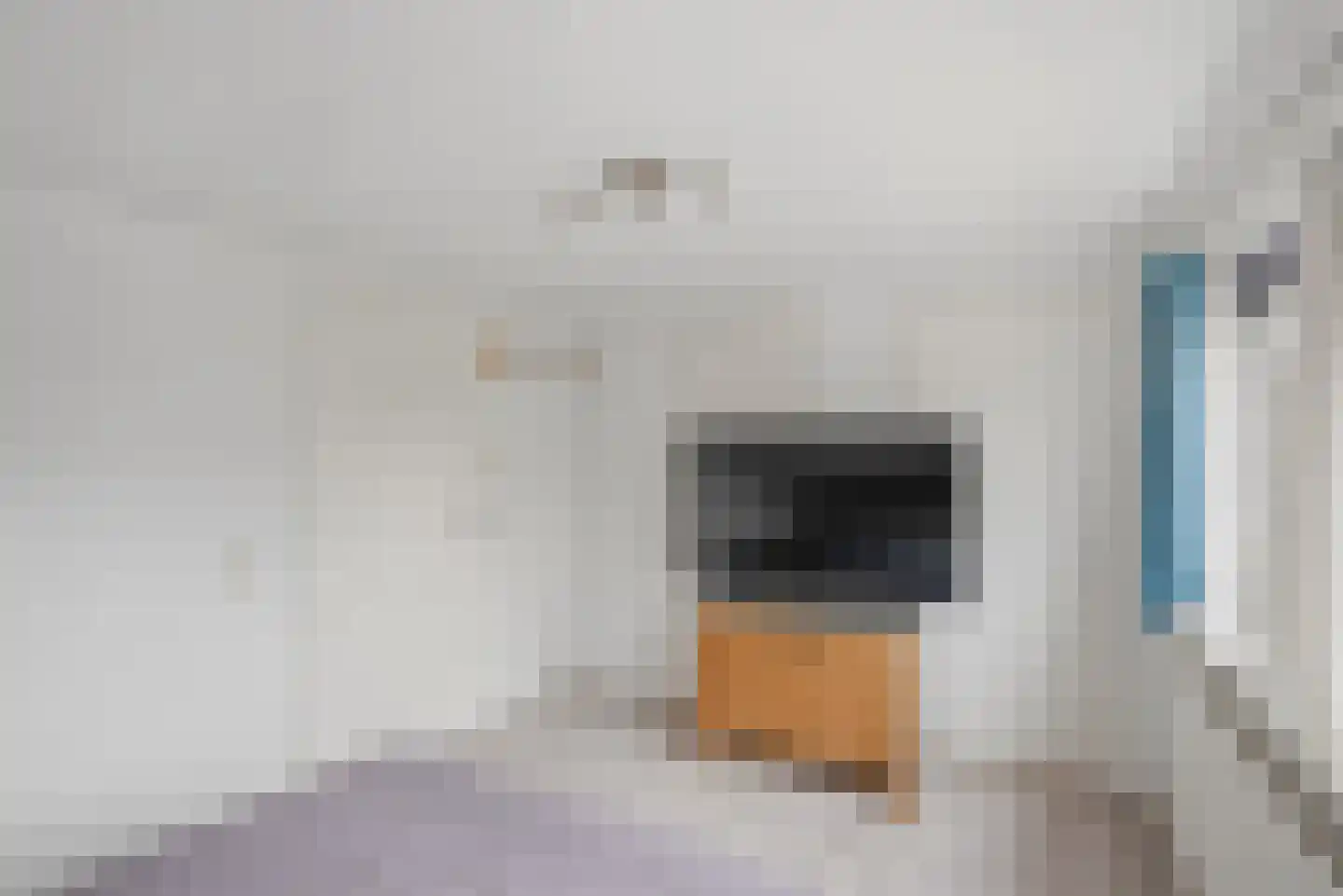 Franjumbuorsterpaed 32 Marsum thumbnail 37