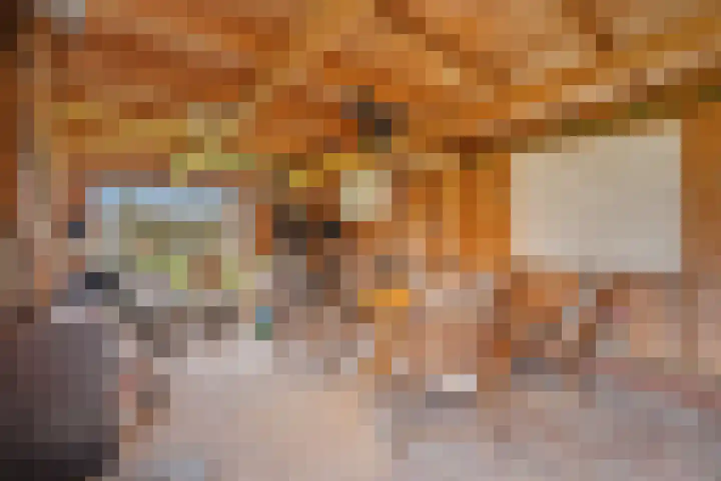 Franjumbuorsterpaed 32 Marsum thumbnail 43