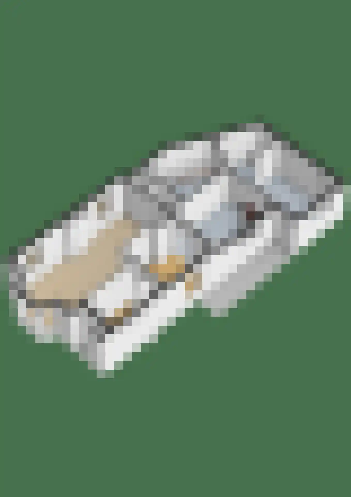 Franjumbuorsterpaed 32 Marsum thumbnail 48