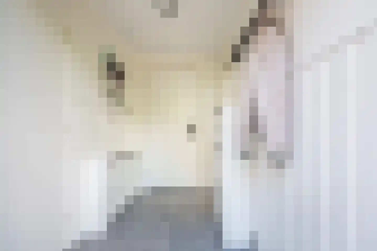Frank Daamenstraat 13 Ulft thumbnail 19