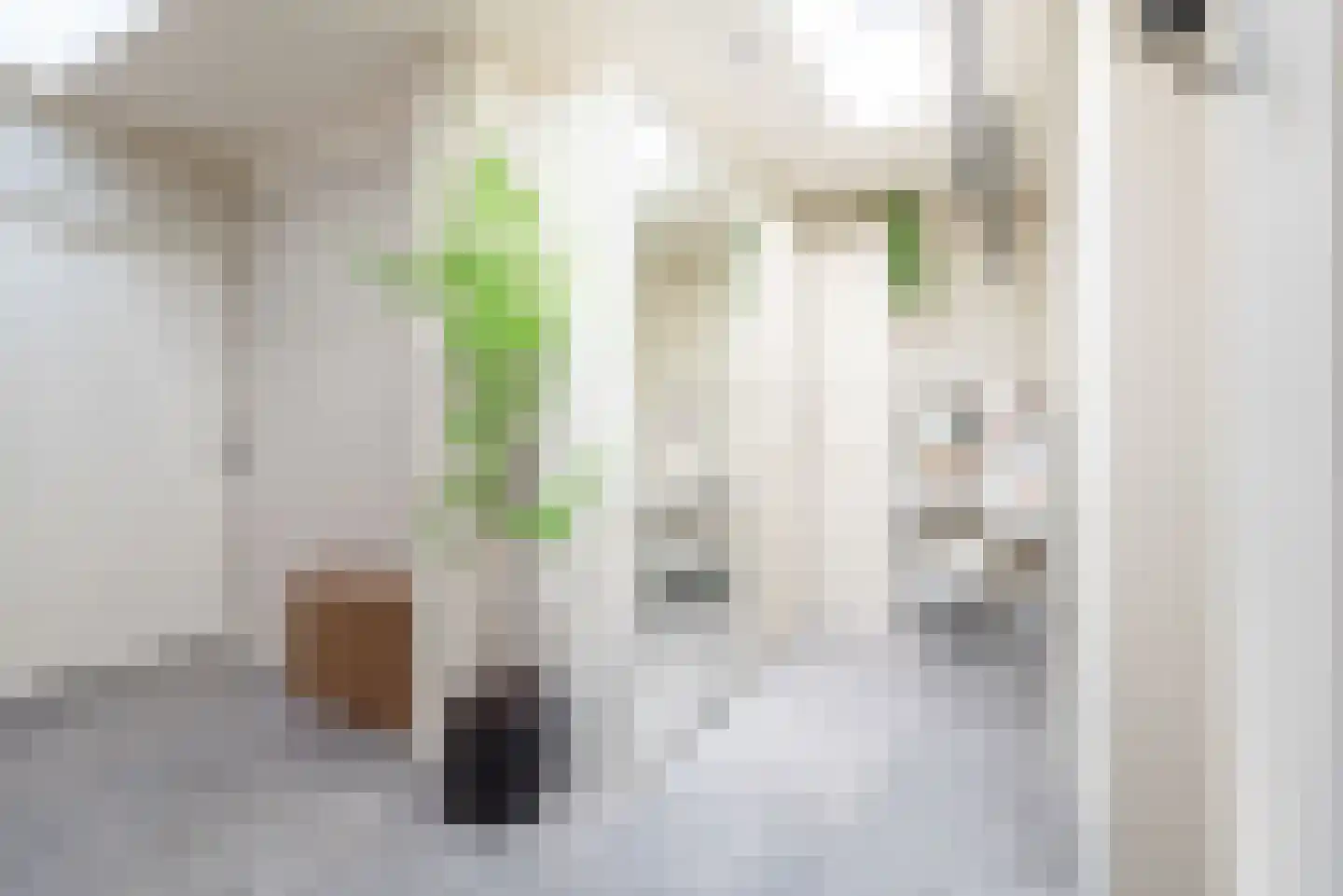 Frank Daamenstraat 13 Ulft thumbnail 22