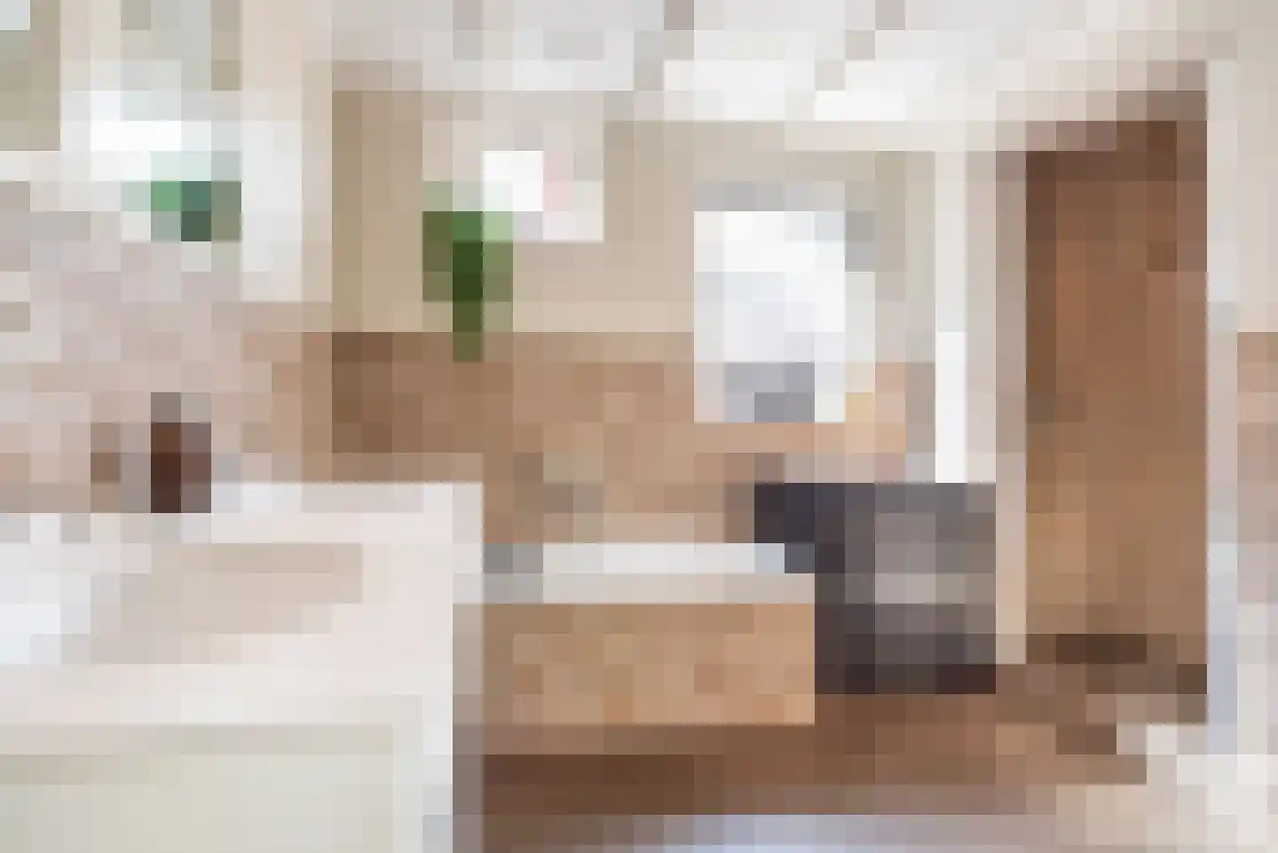 Frank Daamenstraat 13 Ulft thumbnail 25