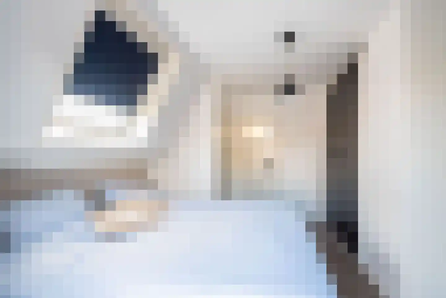 Frank Daamenstraat 13 Ulft thumbnail 36