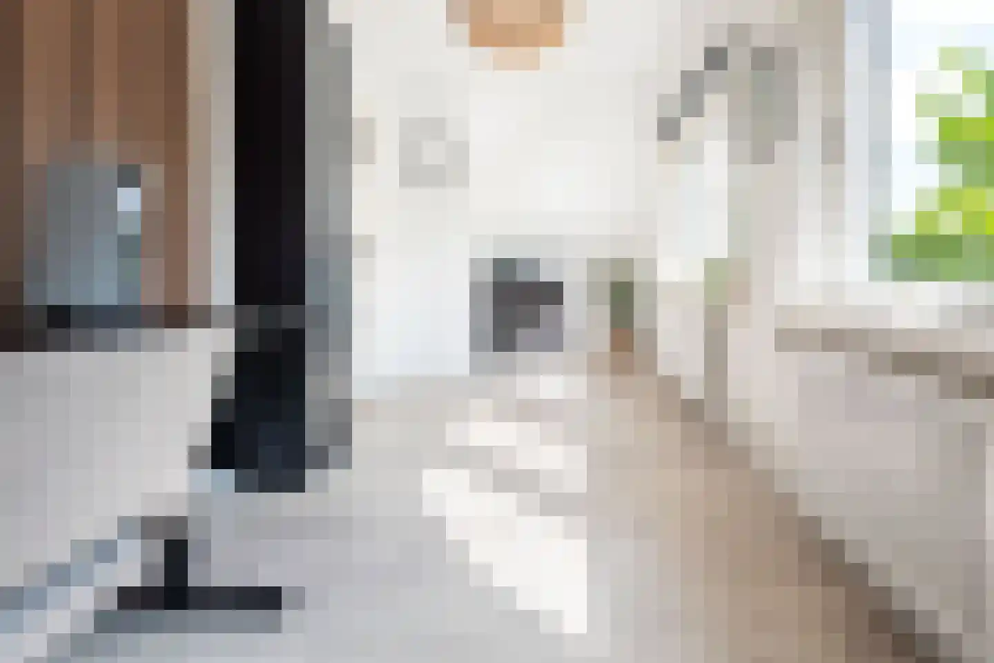 Frank Daamenstraat 13 Ulft thumbnail 38