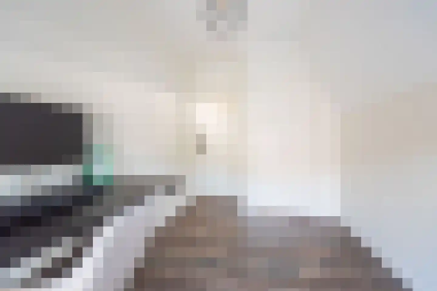 Frank Daamenstraat 13 Ulft thumbnail 41