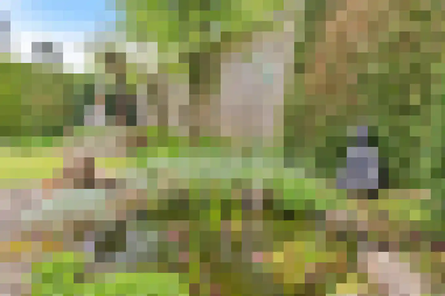Frank en Vrijhof 16 Rohel thumbnail 15