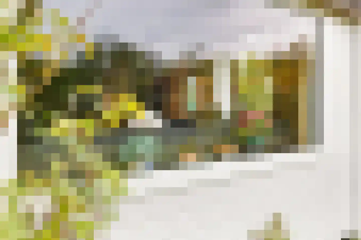 Frank en Vrijhof 16 Rohel thumbnail 16