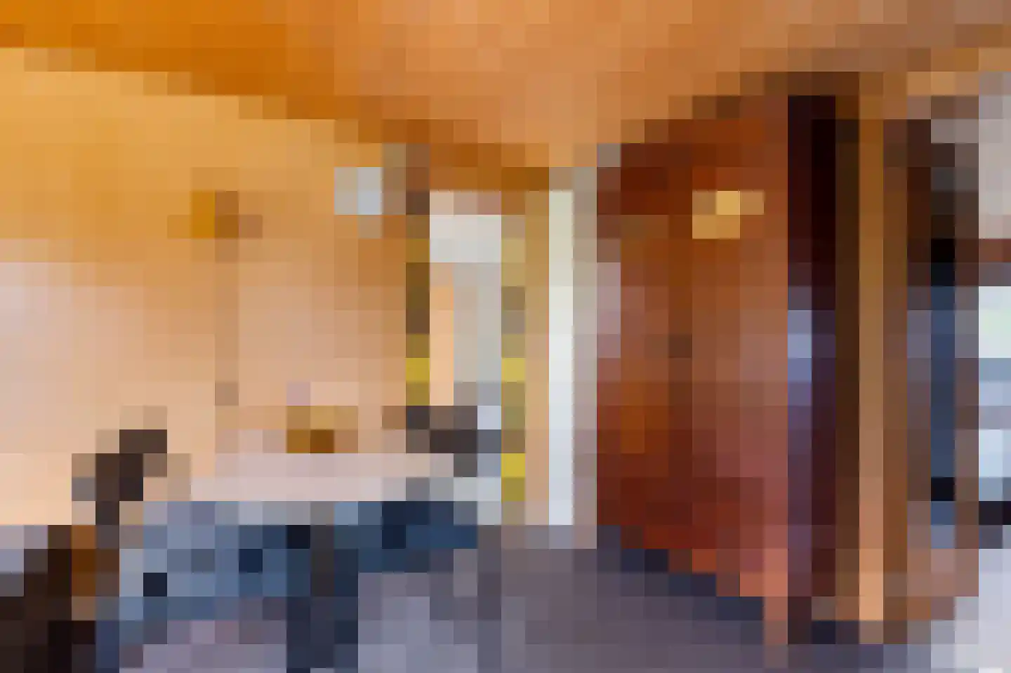 Frank en Vrijhof 16 Rohel thumbnail 22