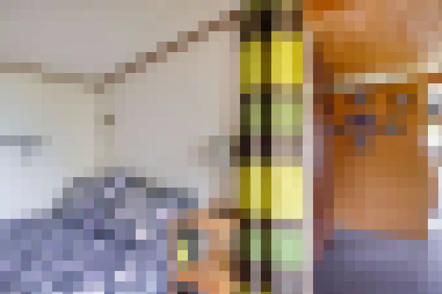 Frank en Vrijhof 16 Rohel thumbnail 31
