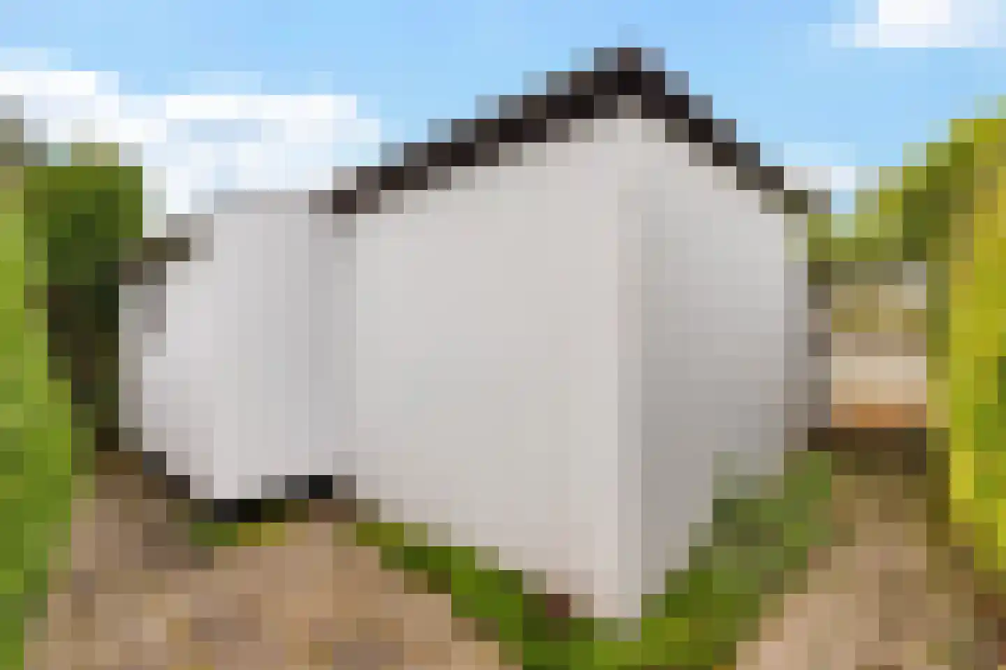 Frank en Vrijhof 16 Rohel thumbnail 37