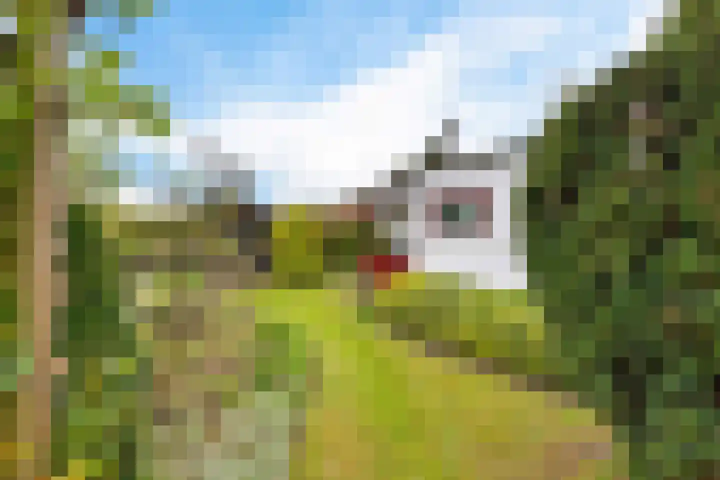 Frank en Vrijhof 16 Rohel thumbnail 4