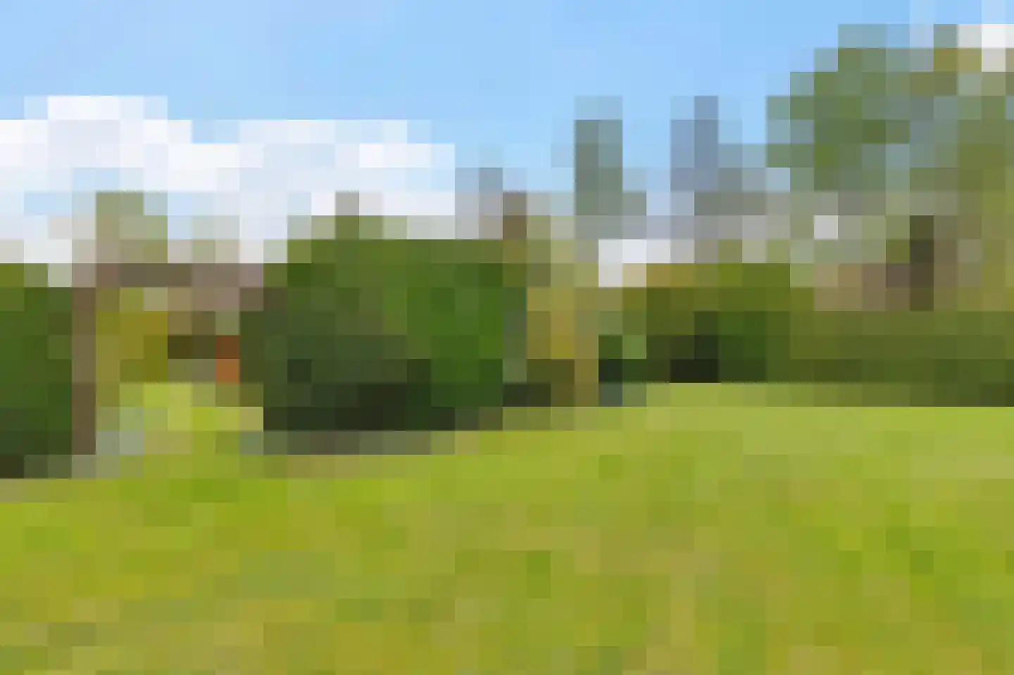 Frank en Vrijhof 16 Rohel thumbnail 40