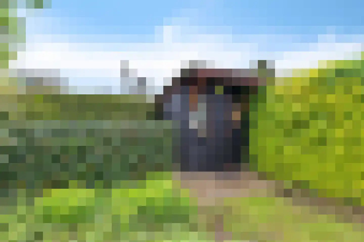 Frank en Vrijhof 16 Rohel thumbnail 6