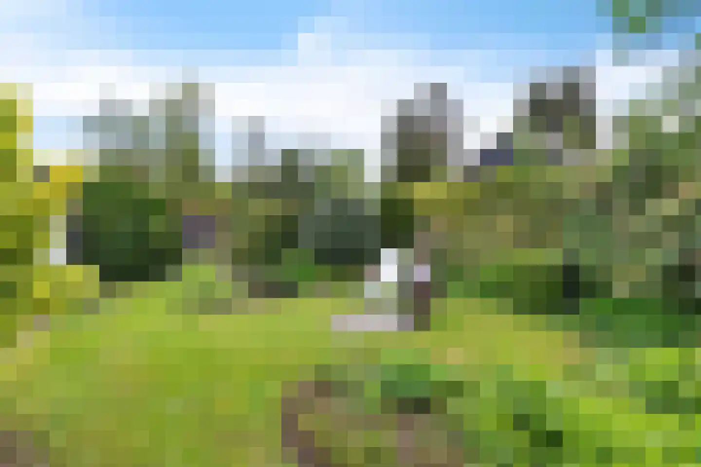 Frank en Vrijhof 16 Rohel thumbnail 7