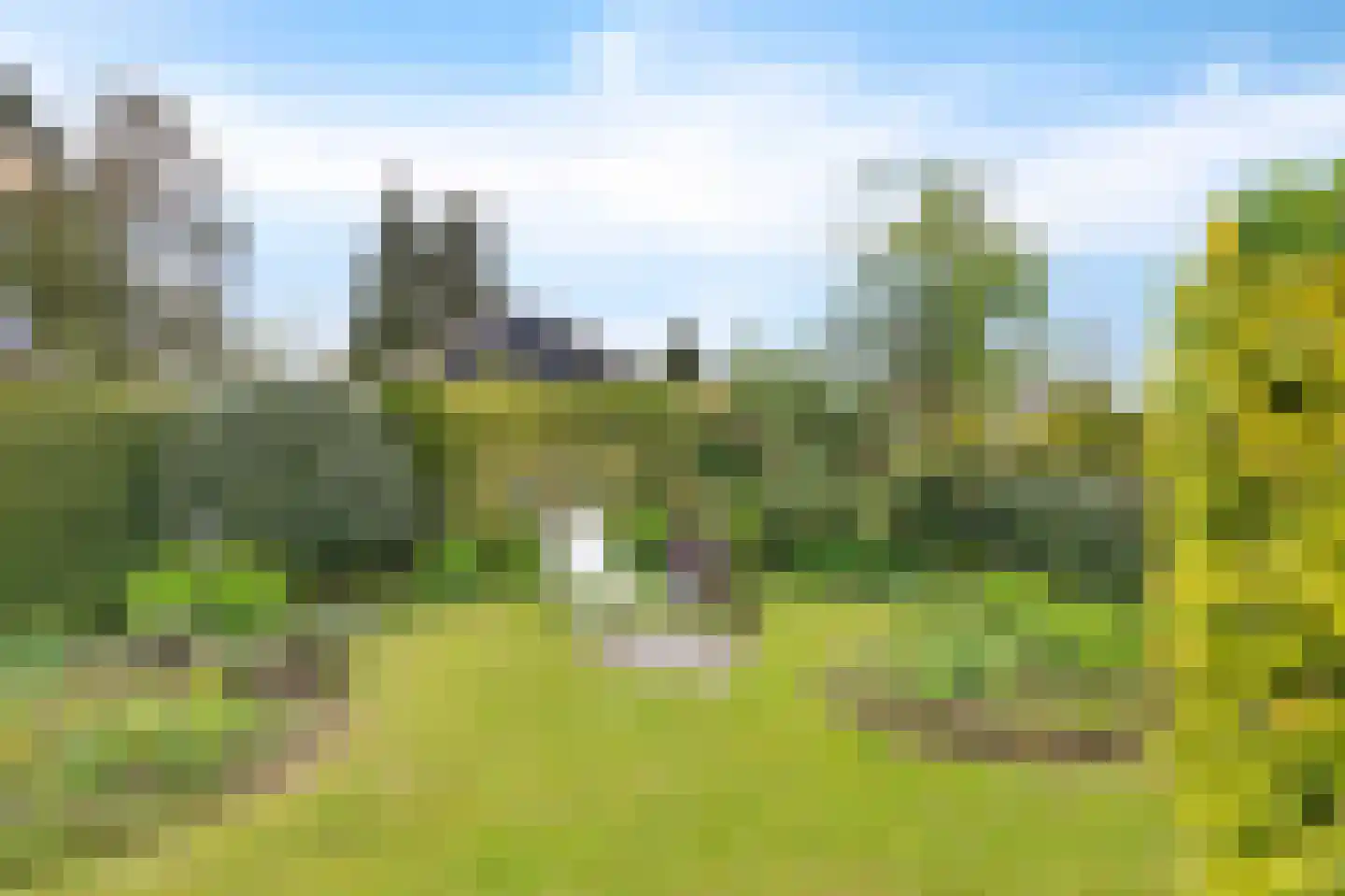 Frank en Vrijhof 16 Rohel thumbnail 9