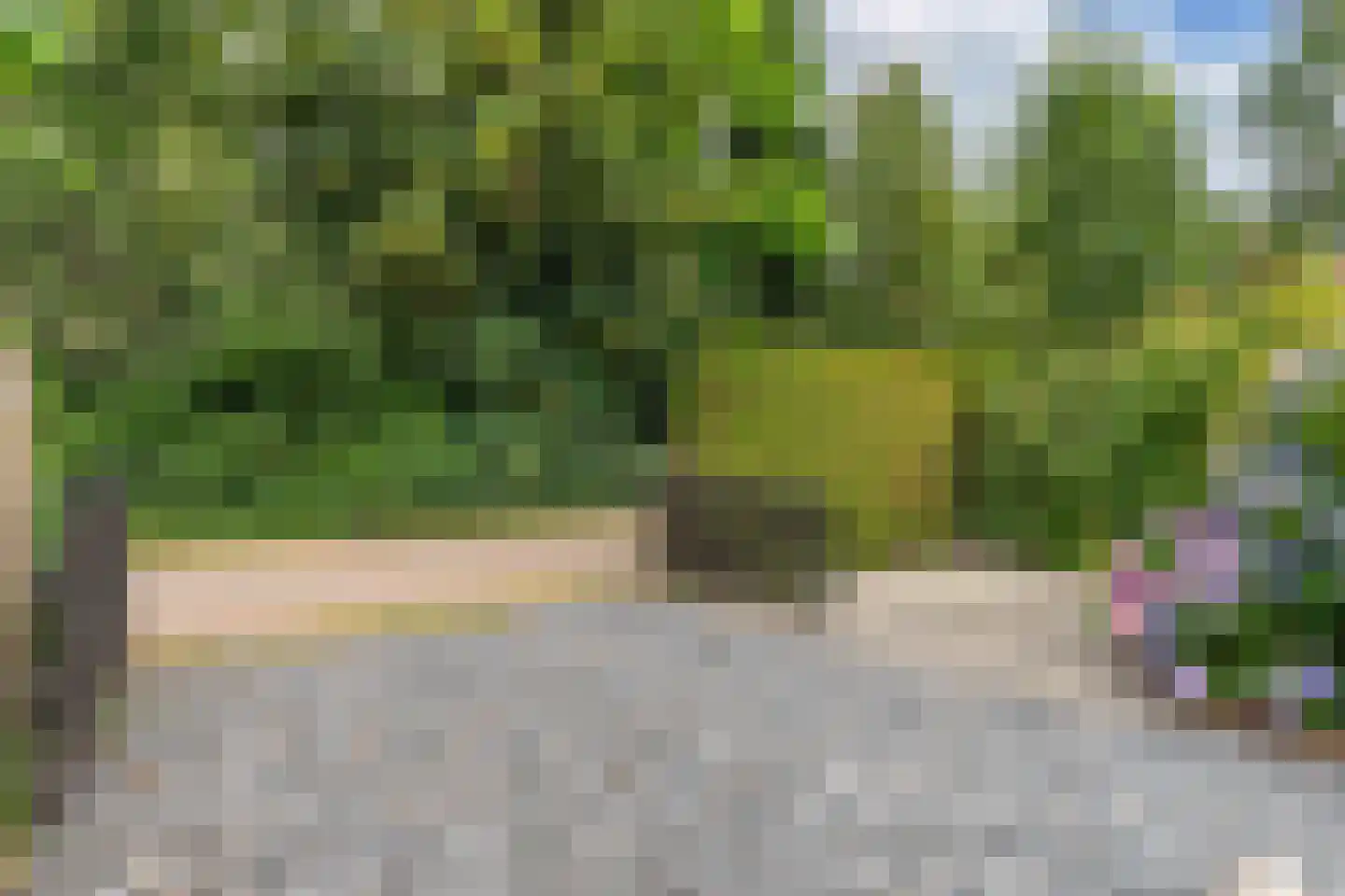 Frank en Vrijhof 18 Rohel thumbnail 11