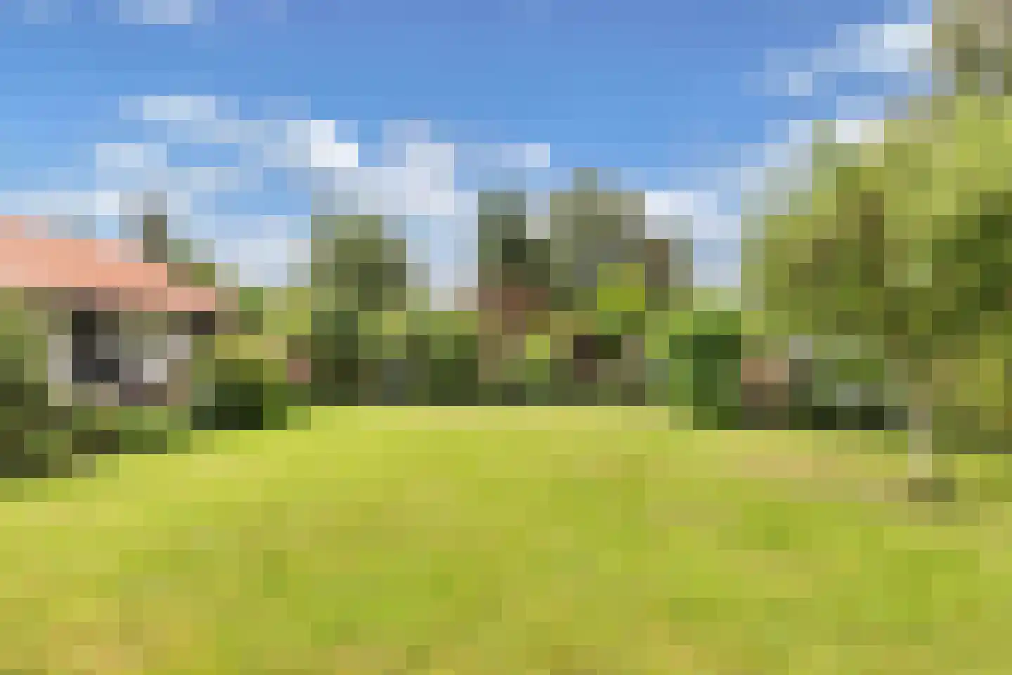 Frank en Vrijhof 18 Rohel thumbnail 12