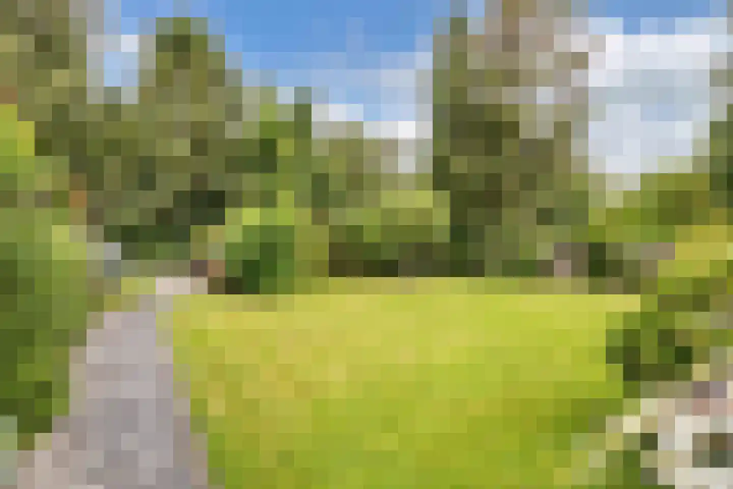 Frank en Vrijhof 18 Rohel thumbnail 13