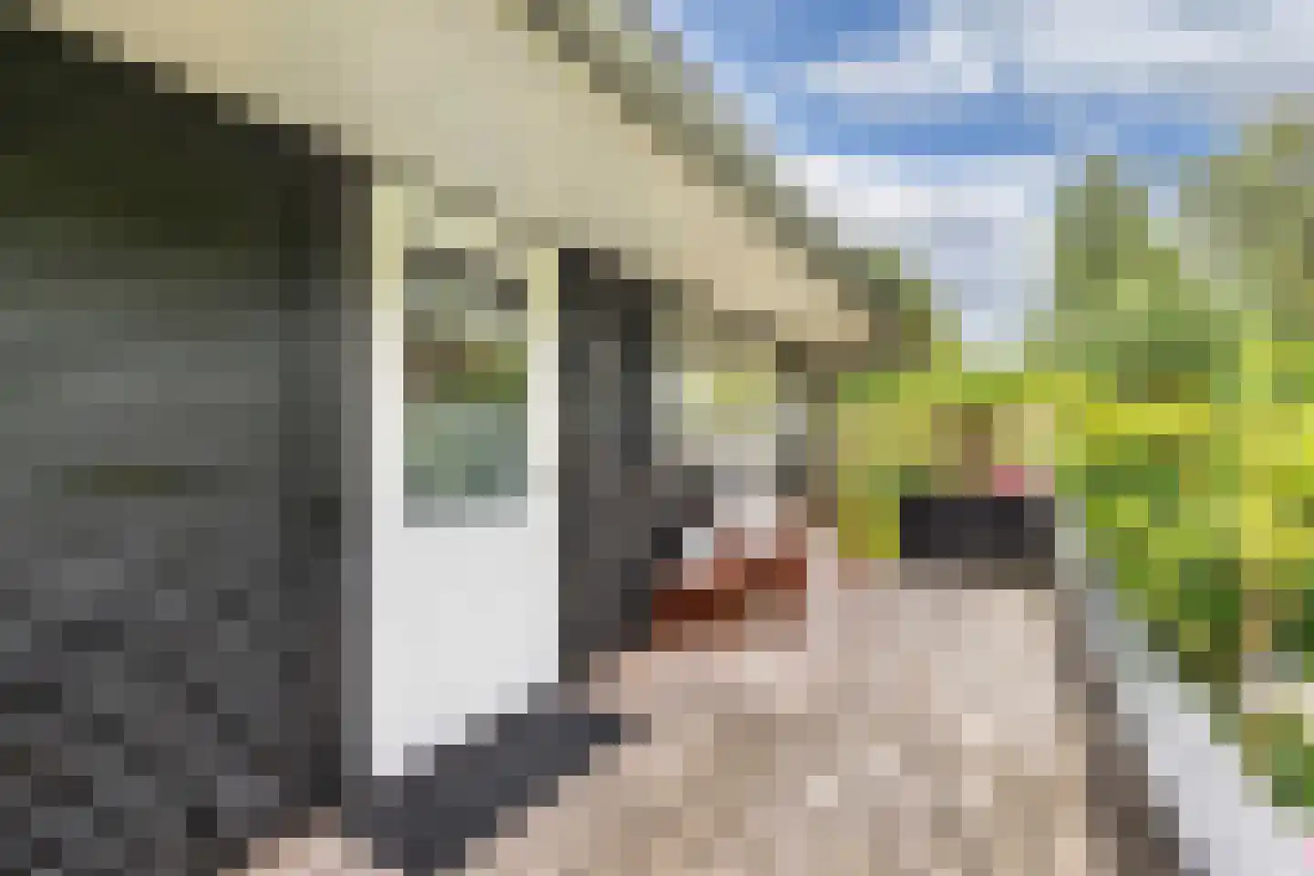 Frank en Vrijhof 18 Rohel thumbnail 15