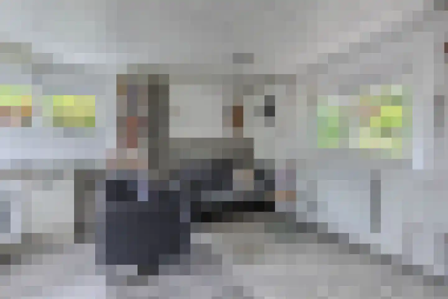 Frank en Vrijhof 18 Rohel thumbnail 18
