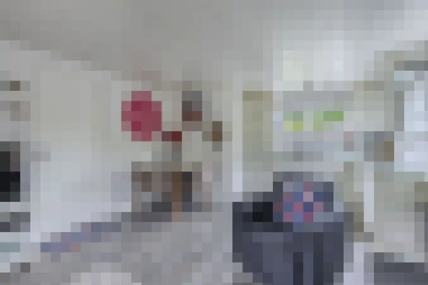 Frank en Vrijhof 18 Rohel thumbnail 21