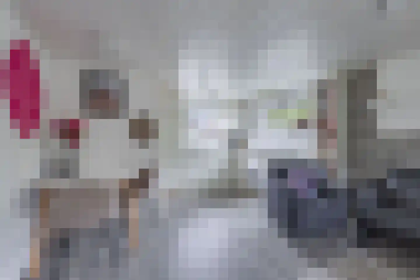 Frank en Vrijhof 18 Rohel thumbnail 22