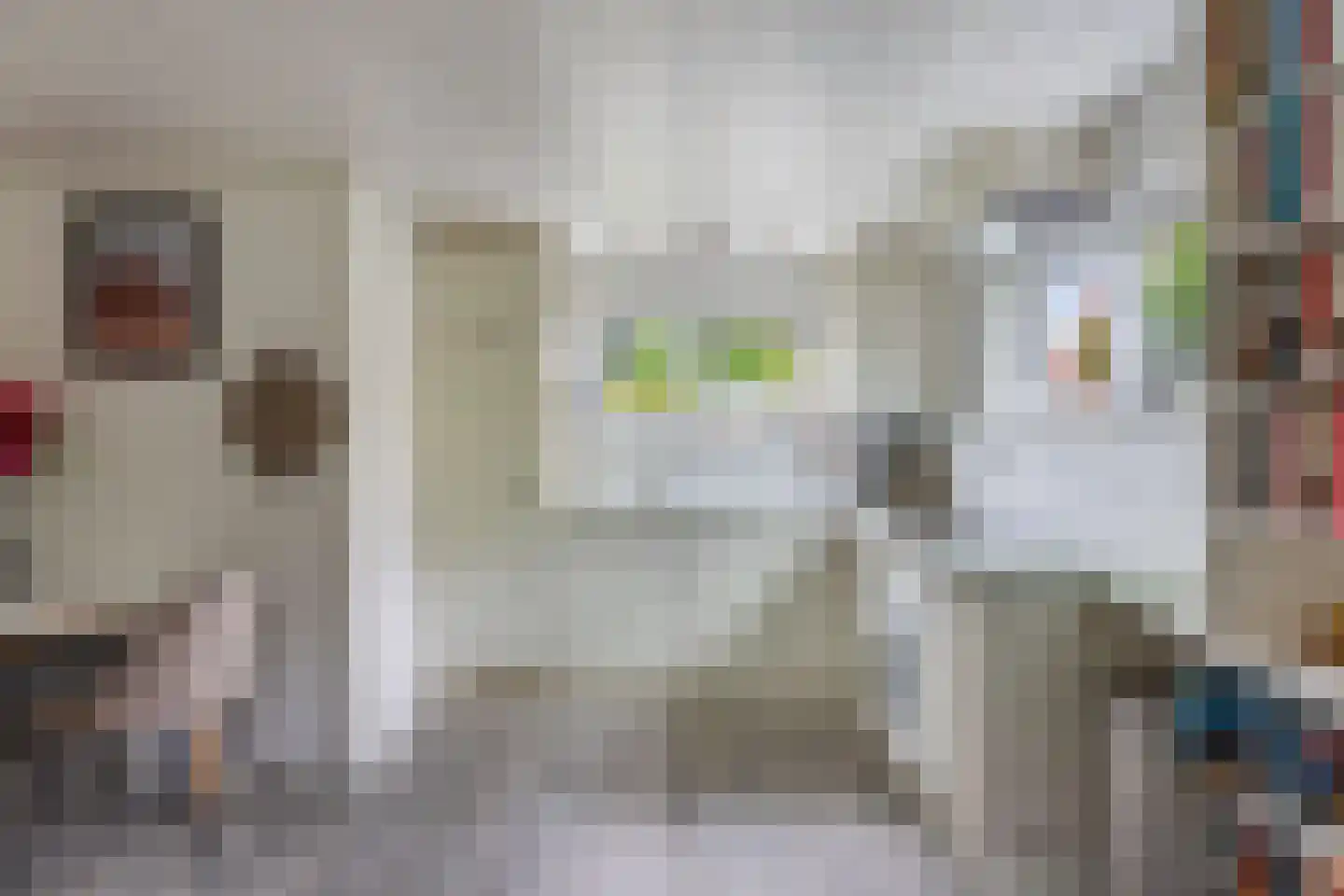 Frank en Vrijhof 18 Rohel thumbnail 23