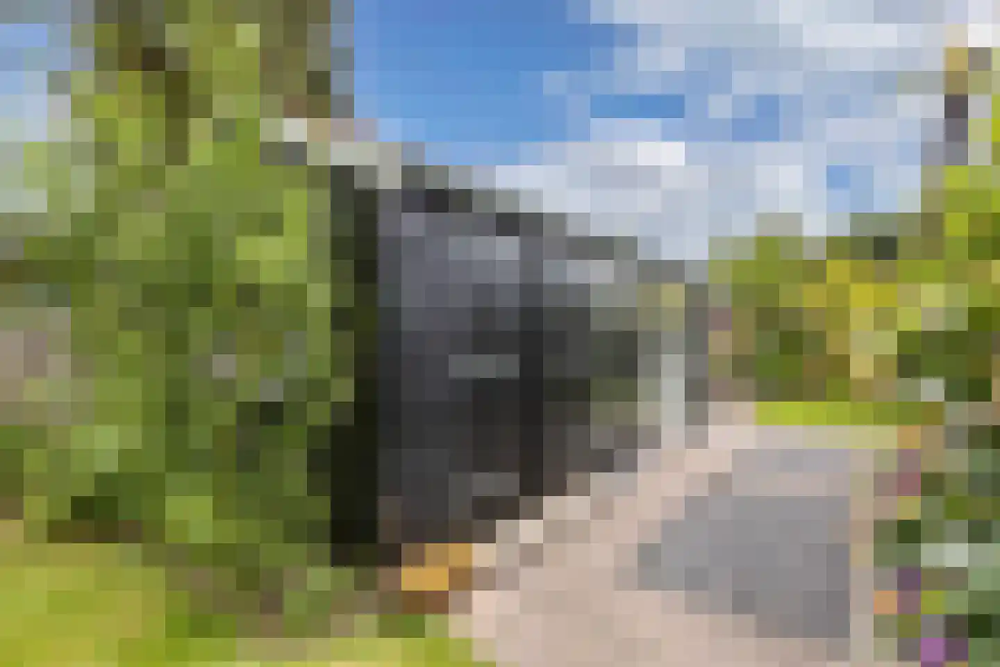 Frank en Vrijhof 18 Rohel thumbnail 35