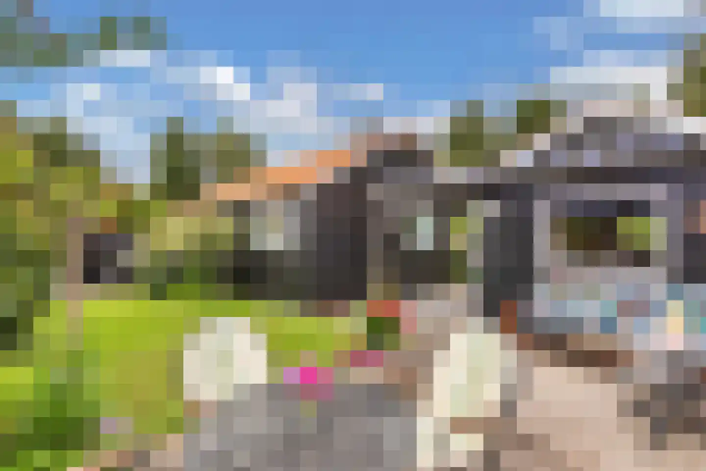 Frank en Vrijhof 18 Rohel thumbnail 36