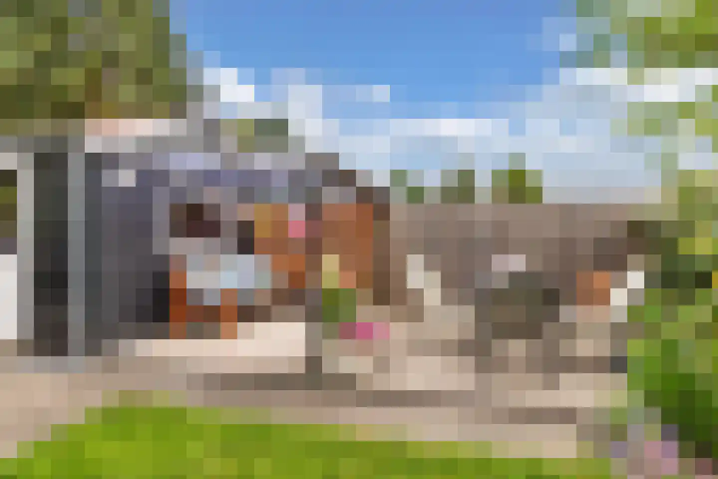 Frank en Vrijhof 18 Rohel thumbnail 37