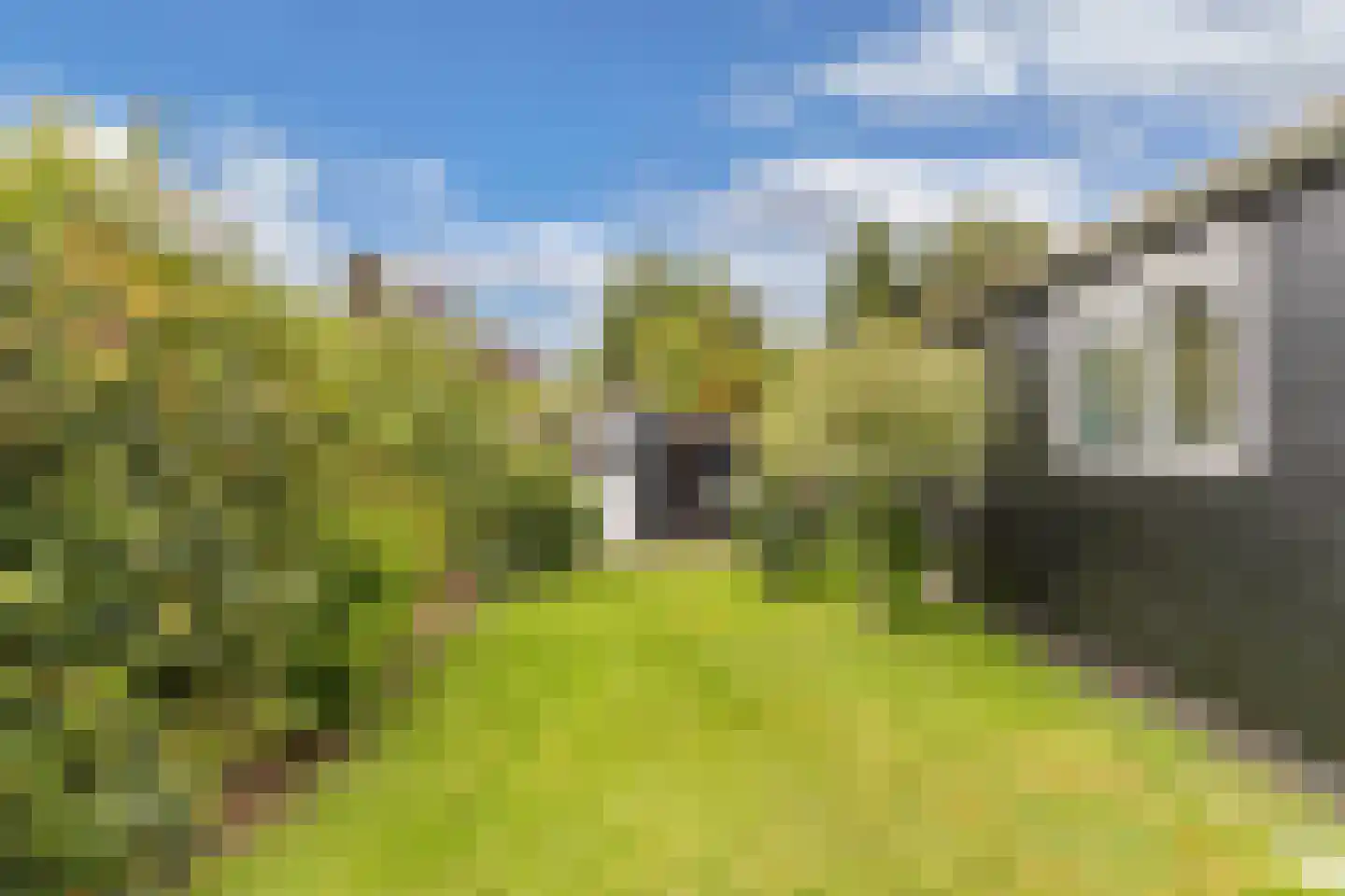 Frank en Vrijhof 18 Rohel thumbnail 38