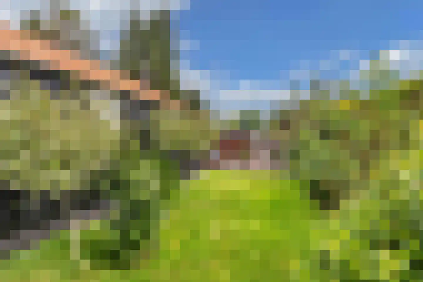 Frank en Vrijhof 18 Rohel thumbnail 40