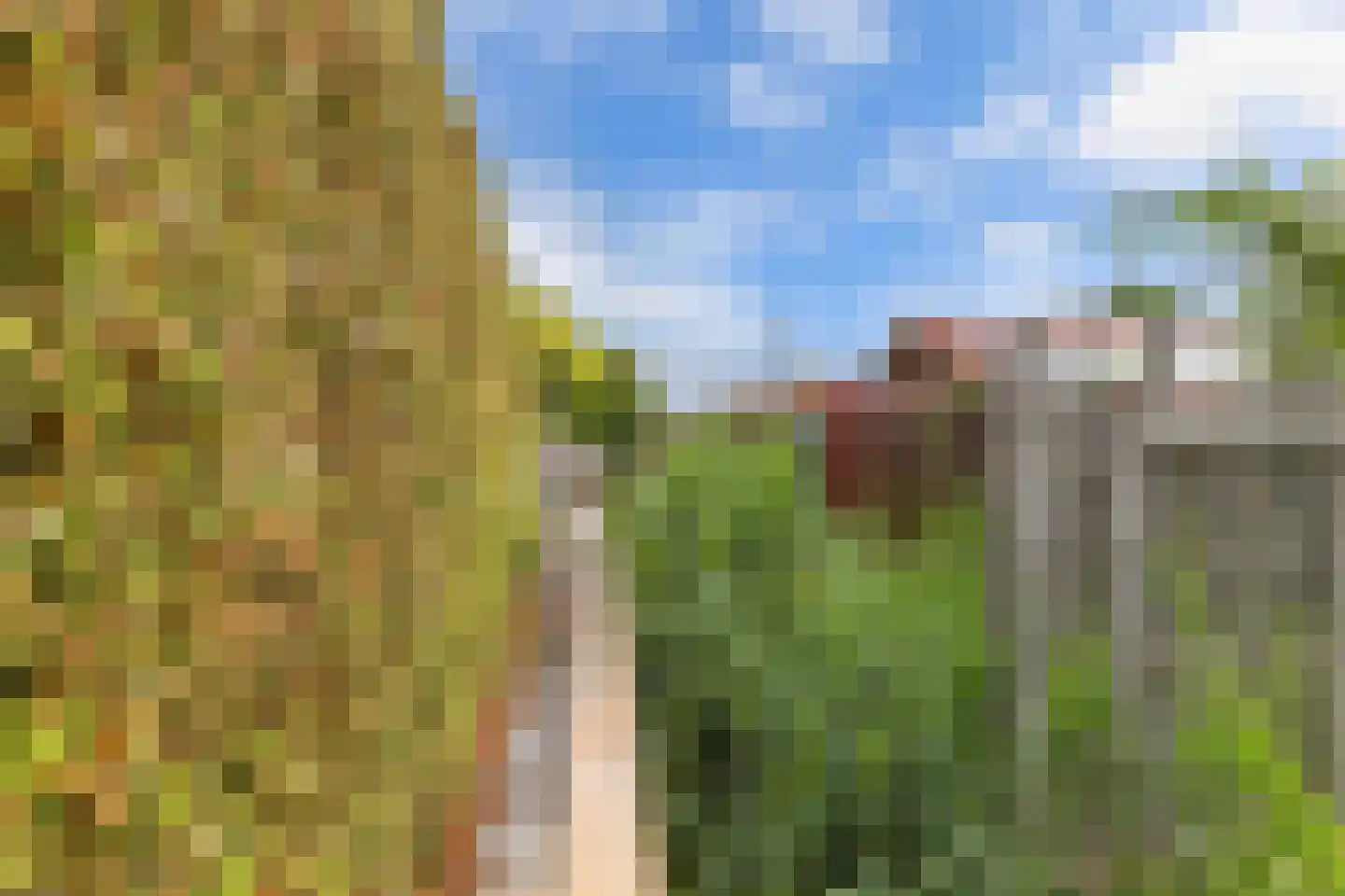 Frank en Vrijhof 18 Rohel thumbnail 41