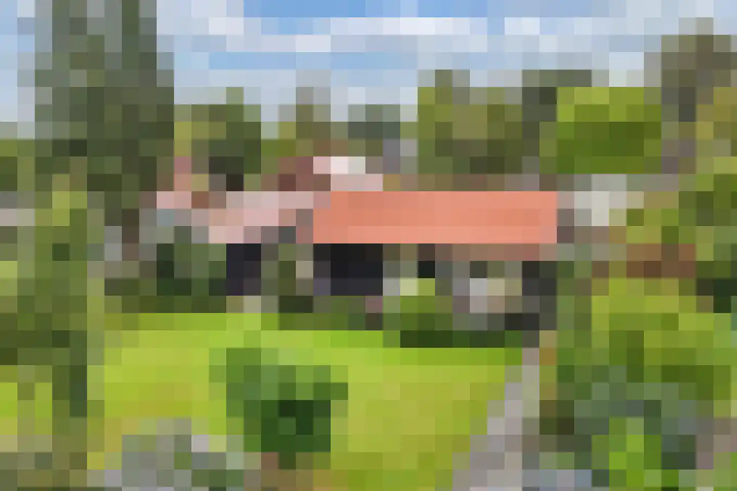 Frank en Vrijhof 18 Rohel thumbnail 42