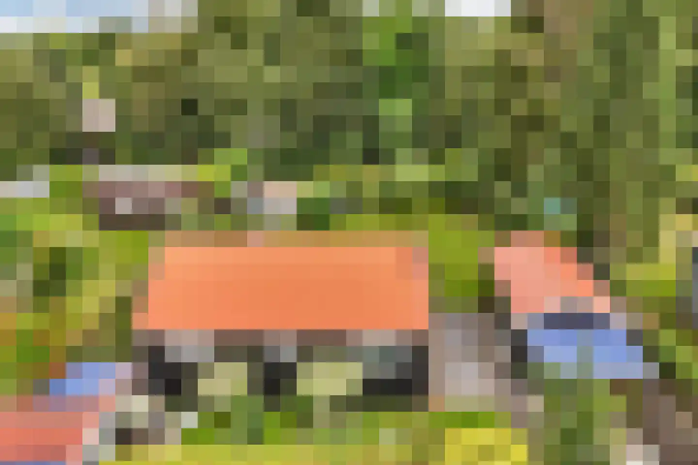 Frank en Vrijhof 18 Rohel thumbnail 43