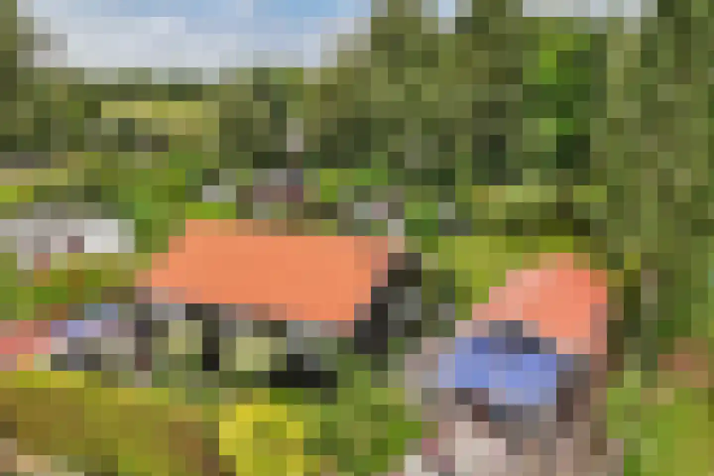 Frank en Vrijhof 18 Rohel thumbnail 45