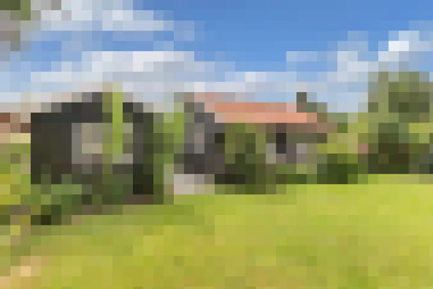 Frank en Vrijhof 18 Rohel thumbnail 6