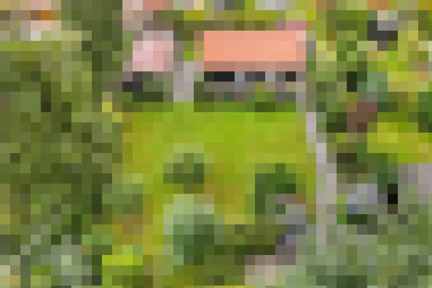 Frank en Vrijhof 18 Rohel thumbnail 8