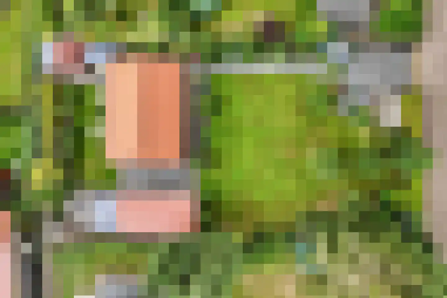 Frank en Vrijhof 18 Rohel thumbnail 9