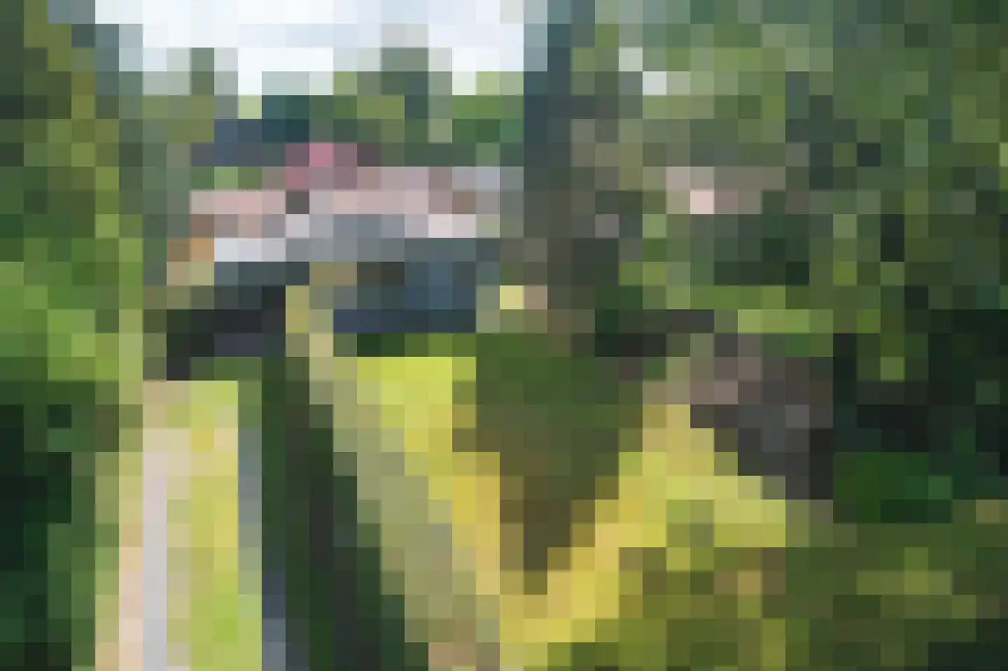 Frank en Vrijhof 20 in Rohel