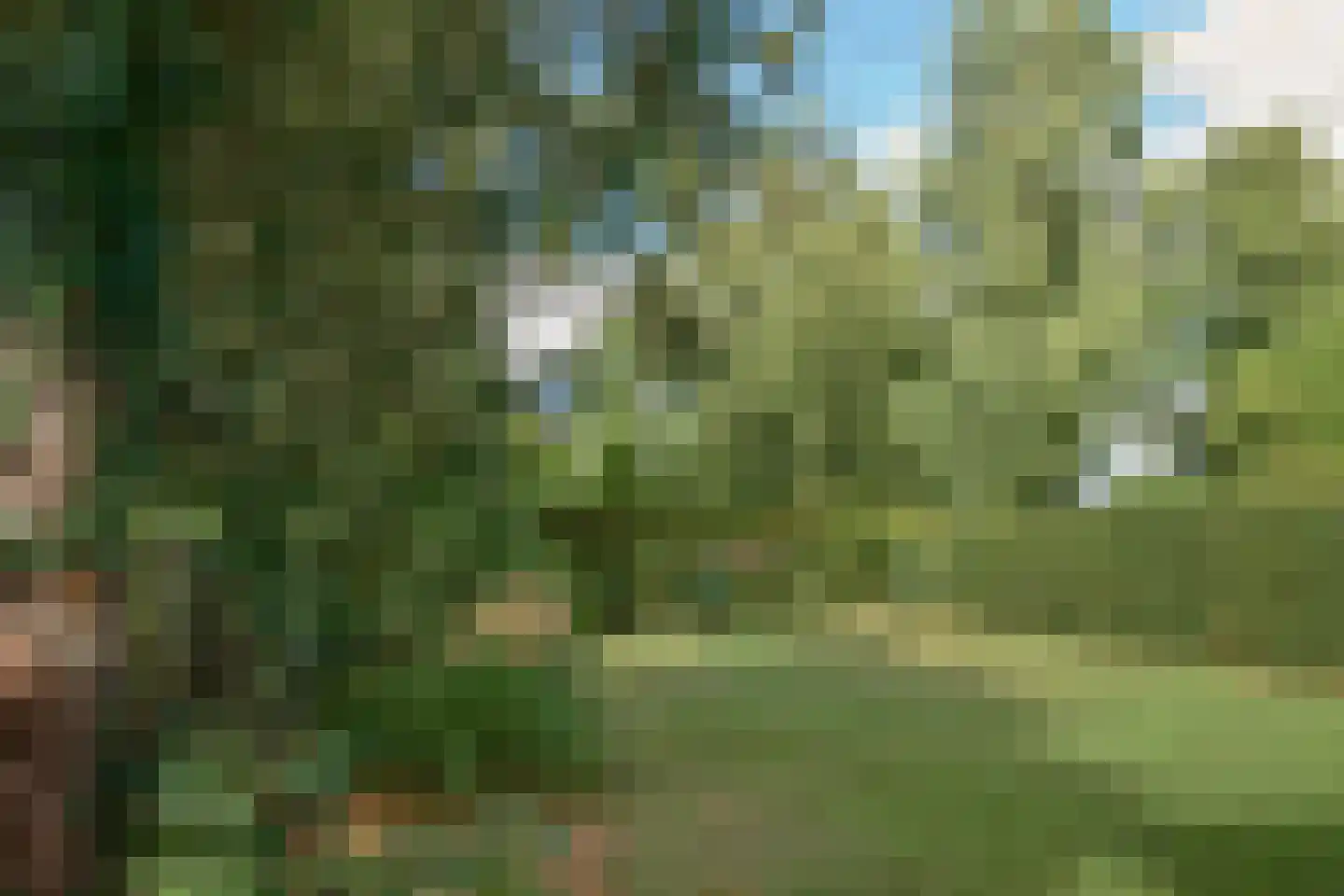 Frank en Vrijhof 20 Rohel thumbnail 21