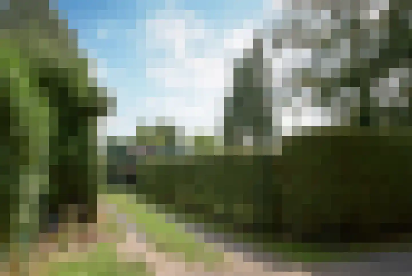 Frank en Vrijhof 20 Rohel thumbnail 25