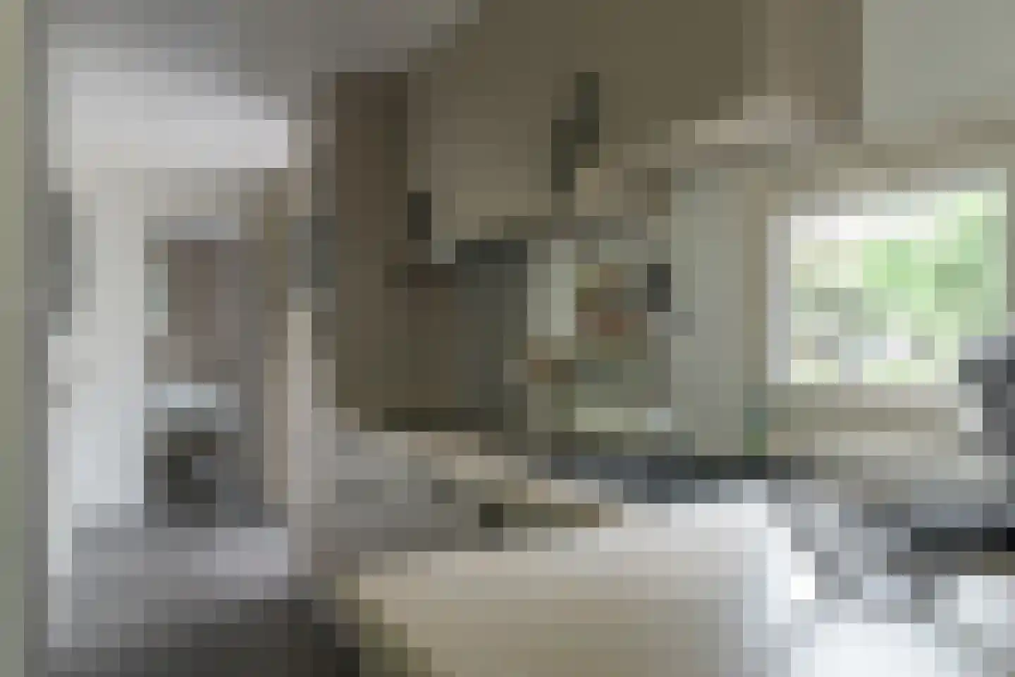 Frank en Vrijhof 22 Rohel thumbnail 10