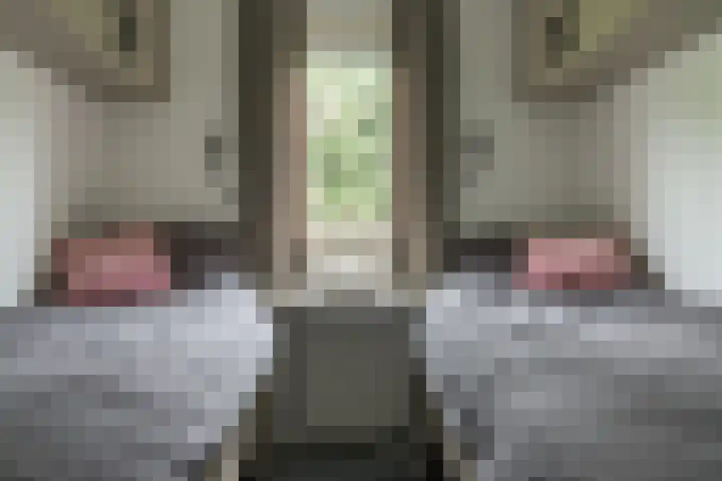 Frank en Vrijhof 22 Rohel thumbnail 12