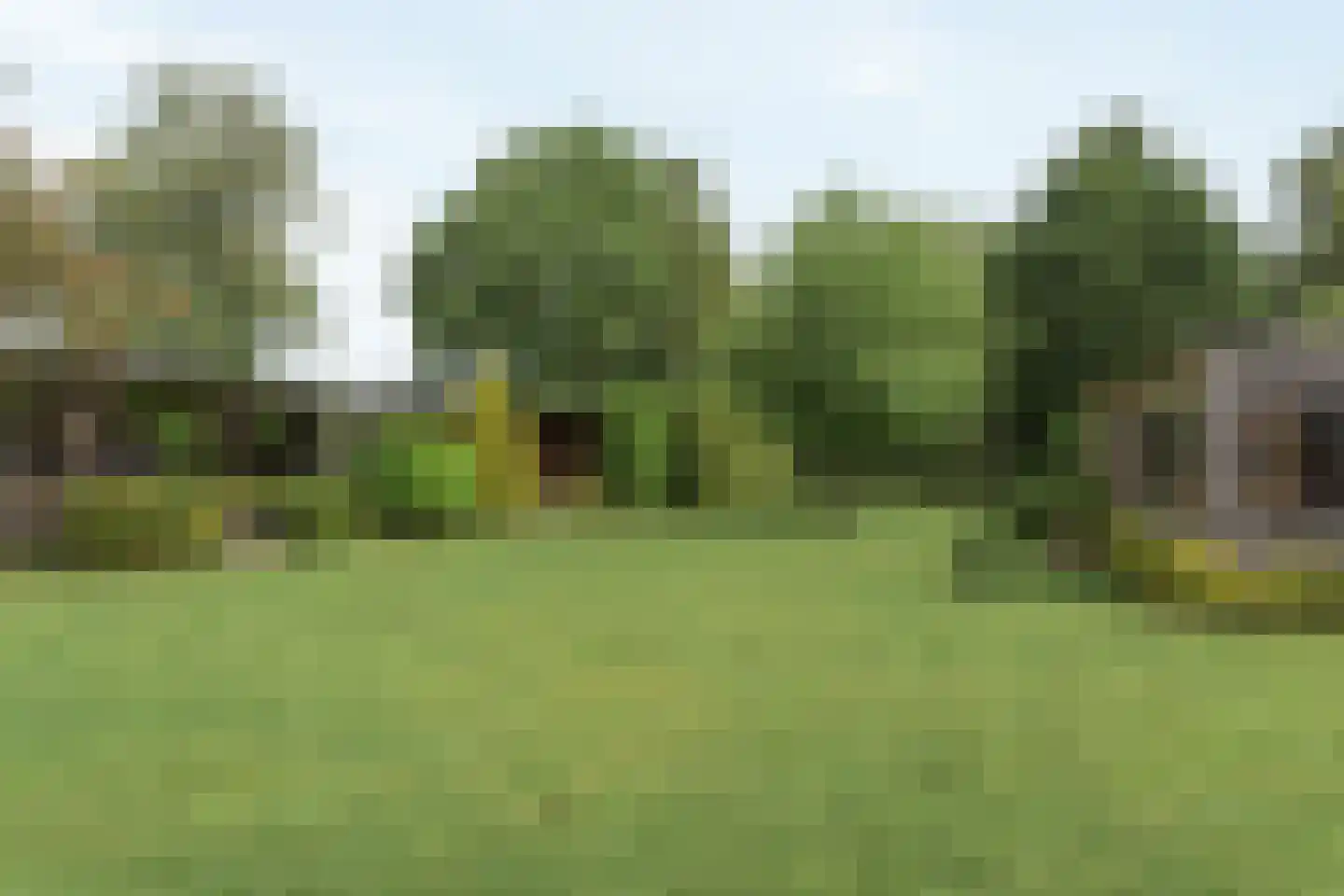 Frank en Vrijhof 22 Rohel thumbnail 18