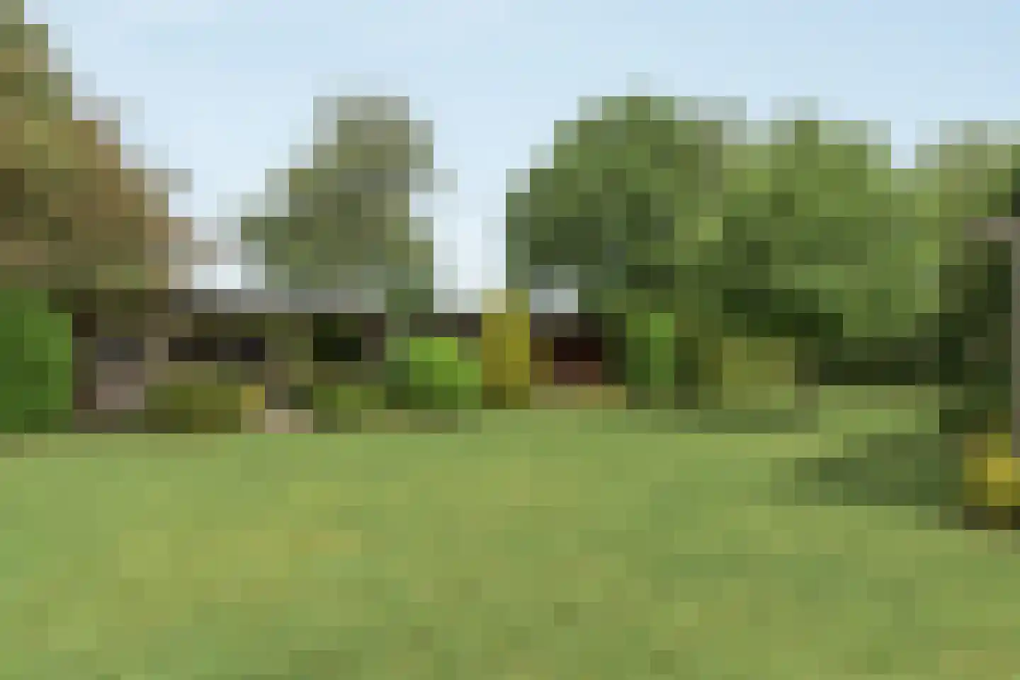 Frank en Vrijhof 22 Rohel thumbnail 19