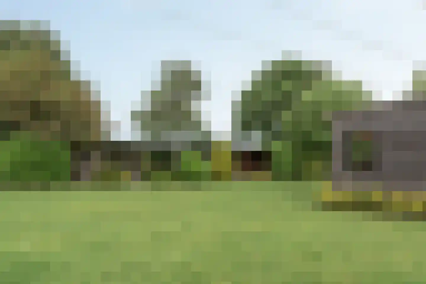 Frank en Vrijhof 22 Rohel thumbnail 33