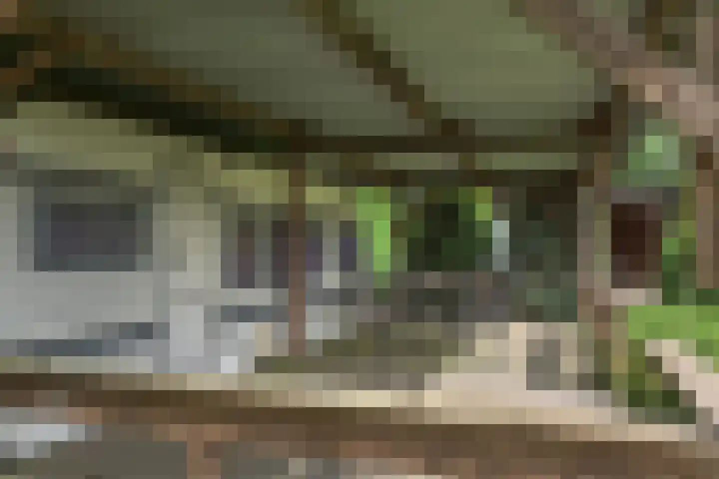 Frank en Vrijhof 22 Rohel thumbnail 34