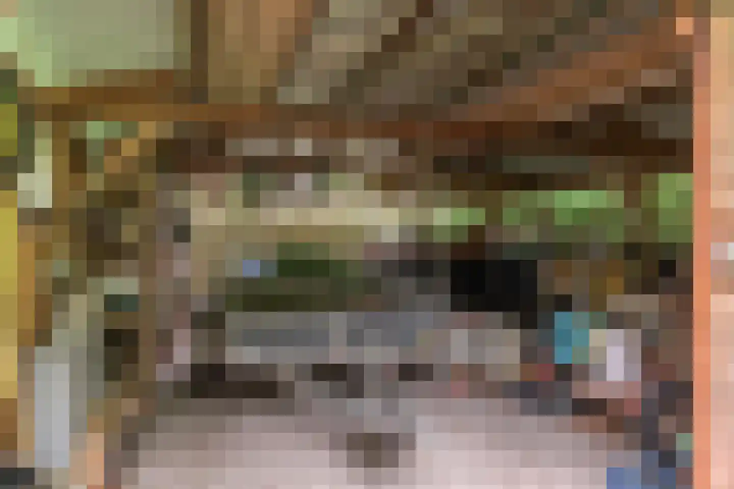 Frank en Vrijhof 22 Rohel thumbnail 36