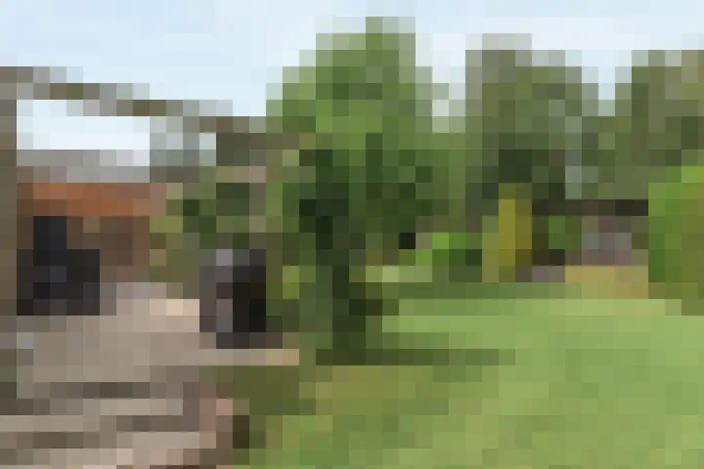 Frank en Vrijhof 22 Rohel thumbnail 4